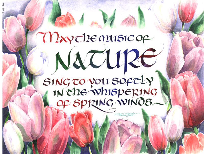 MusicOfNature