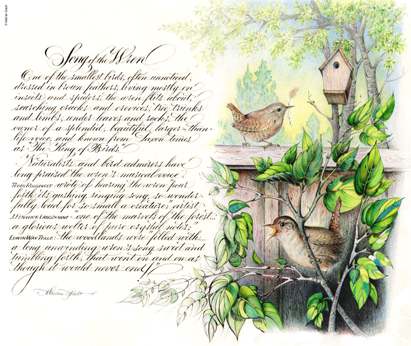 Song of the Wren