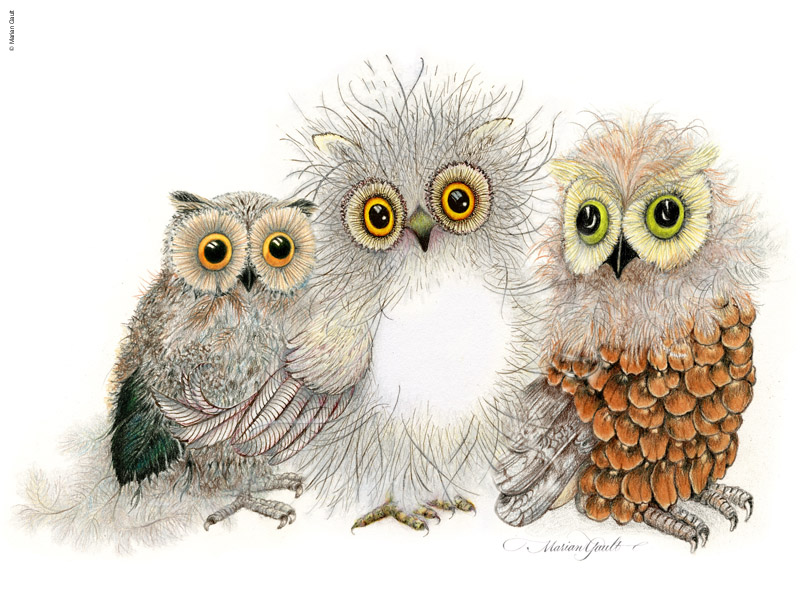 ThreeOwls