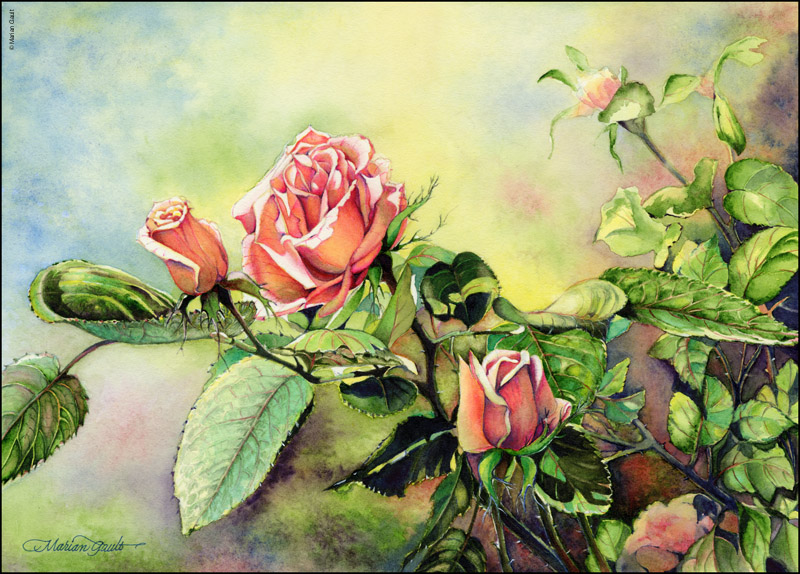 Watercolor & Colored Pencil