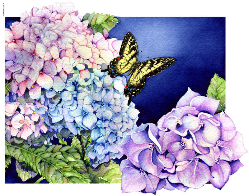 W-Hydrangea & Friend